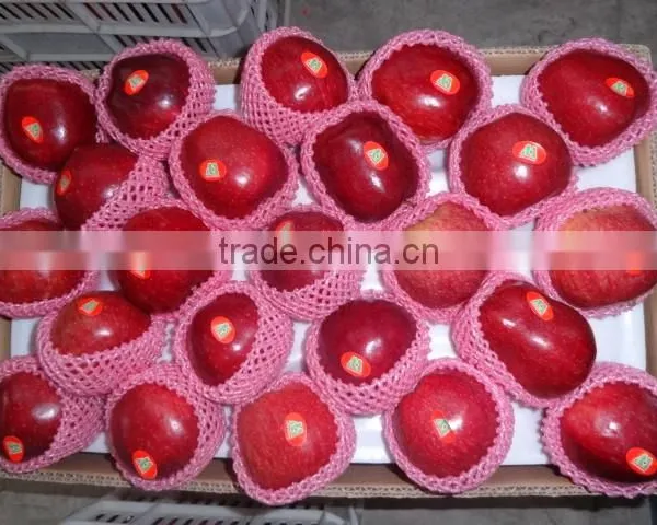 HUANIU APPLE