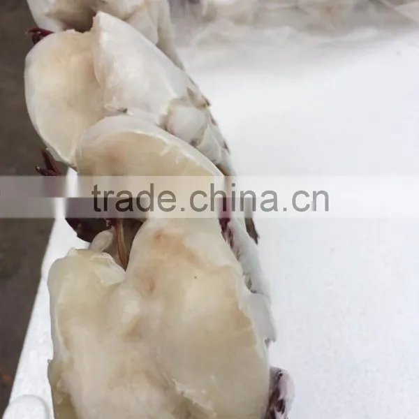 New Frozen Blue Swimming Crab photo-4