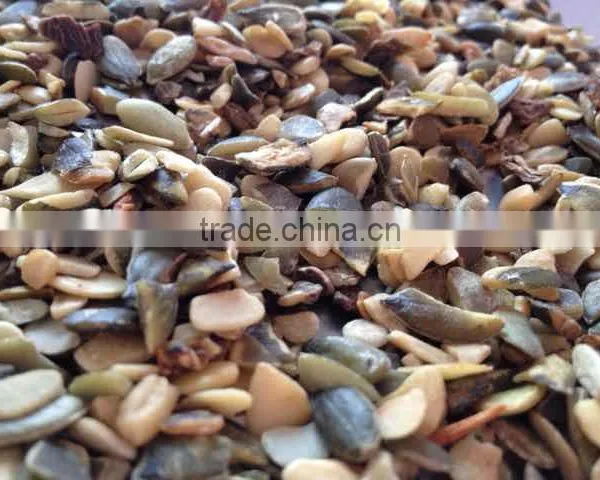 Broken Pumpkin Seeds GWS Oil Grade photo-3