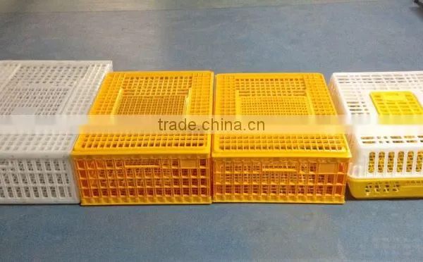 Birds Transportation Crates photo-6