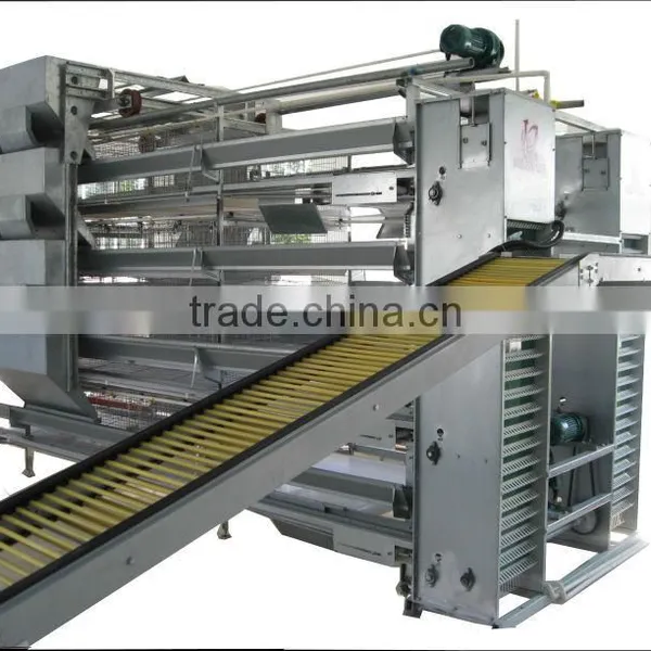 Automatic Poultry Equipment