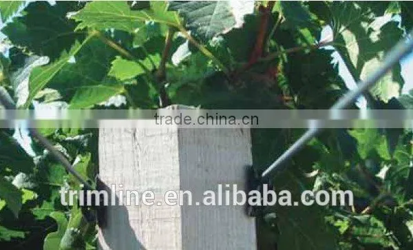 3.0mm Black 100% New Polyester Vineyard Monofilament Wire photo-2