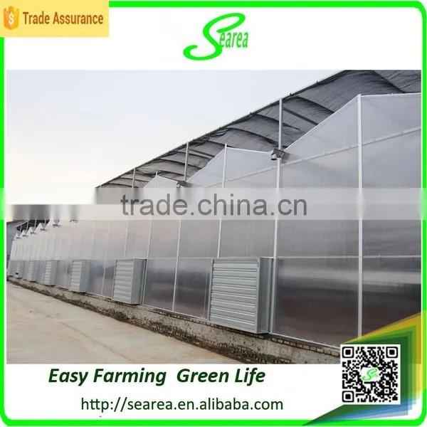 Modern Design Agriculture uv Coating Polycarbonate Greenhouse photo-2