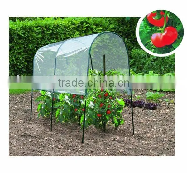 Hobby Greenhouse