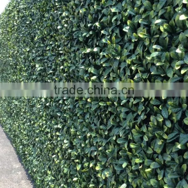 SJ04001115 High Quality Plastic Artificial Grass Turf Mat photo-2