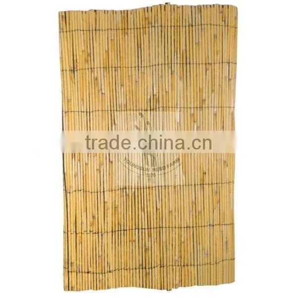 Top Quality Peeled Reed Fence photo-4