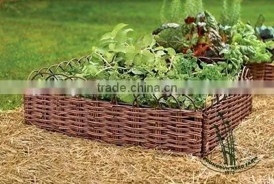 Willow Border for Garden photo-2