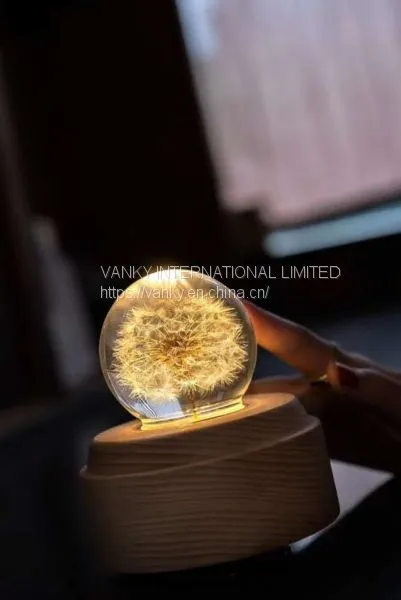 Dandelion Music Box photo-3