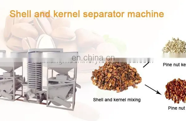 Hot Sale Melon Seeds Peeler Pumpkin Acorn Pine Nut Cracking Machine Snack Seed Nut Production Line photo-5