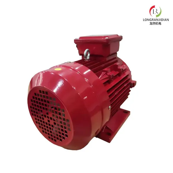 Ie3 Premium Efficiency Electric Motor photo-5