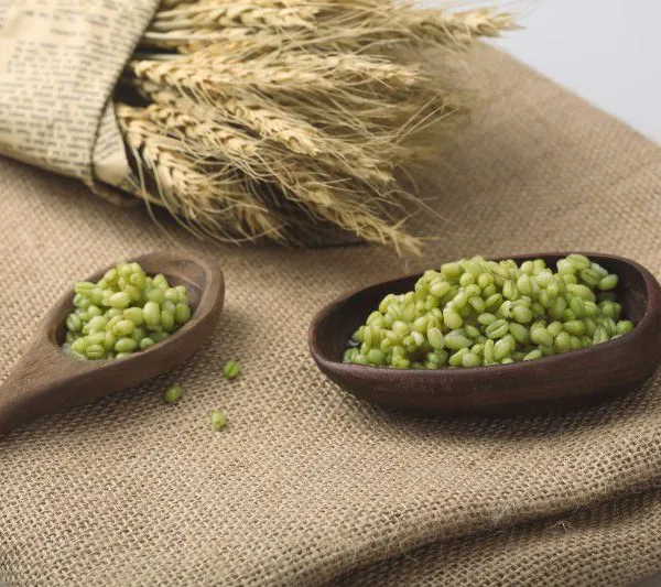 Frozen Young Wheat Berries - Sweet Burst Taste | Low GI Healthy Grain for Dessert, Bakery & Porridge photo-2
