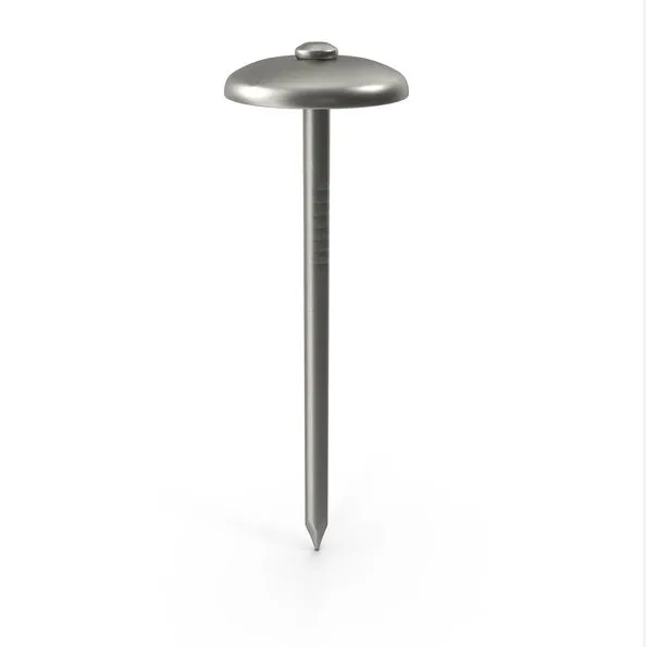 Umbrella Head Roofing Nails With Washer - 2.5inch for Industrial Use photo-3