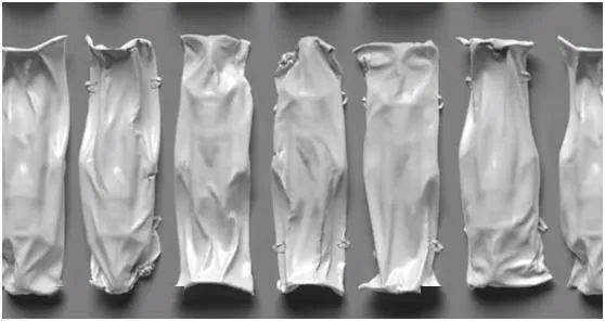 Body Bag
