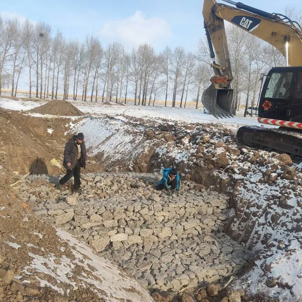 Lianqi Network Industry Gabion Stone Cage for Farmland Construction, Single Partition 80*100 Gabion Stone Cage photo-4