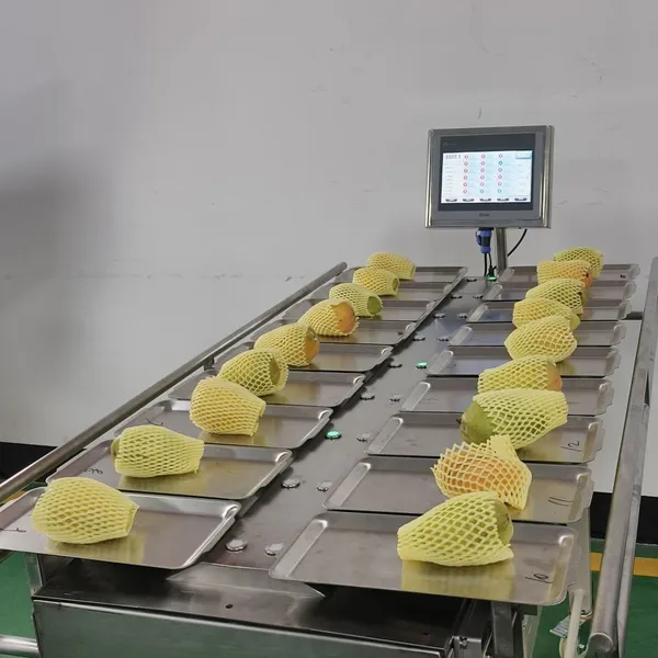 Manual 12 Heads 14 Heads Multihead Combination Scale Grape Fruit Weighing Scale photo-3
