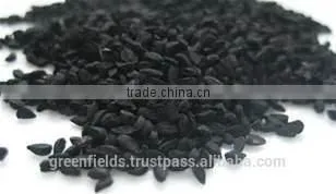 High Quality Black Seed Powder