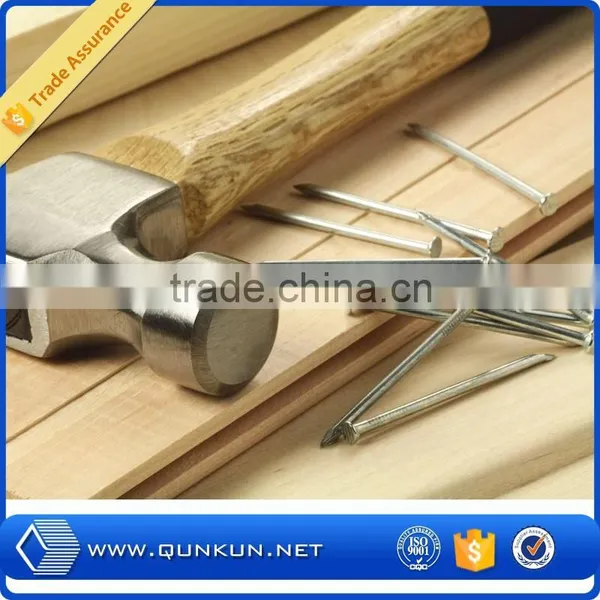 Common Wire Nails With Factory Price photo-5