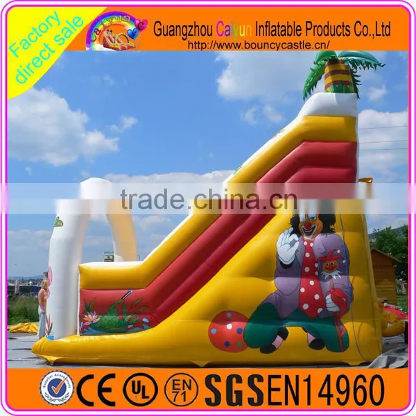 Funny Carton Design Inflatable Plastic Dry Slide photo-2