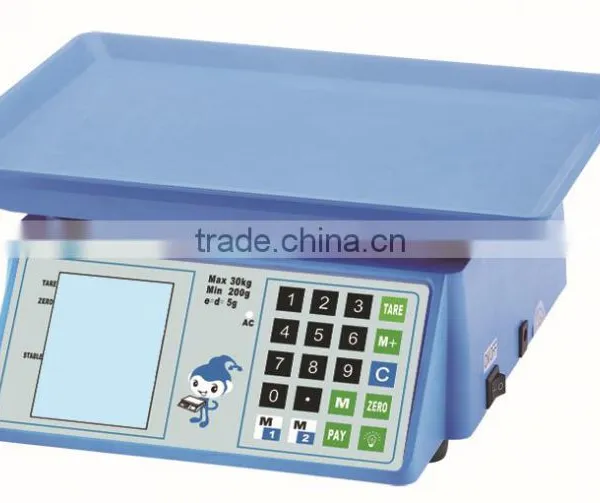 Weighing Machine Low Profile Floor Scales photo-5