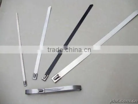 Supplying 7.9*300mm Stainless Steel Cable Tie 201 Material photo-2