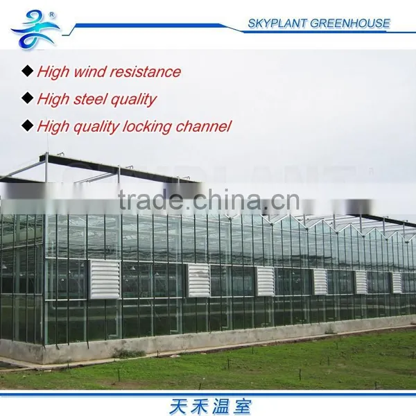 Horticultural Glass Greenhouse Multi-span Glass Greenhouse