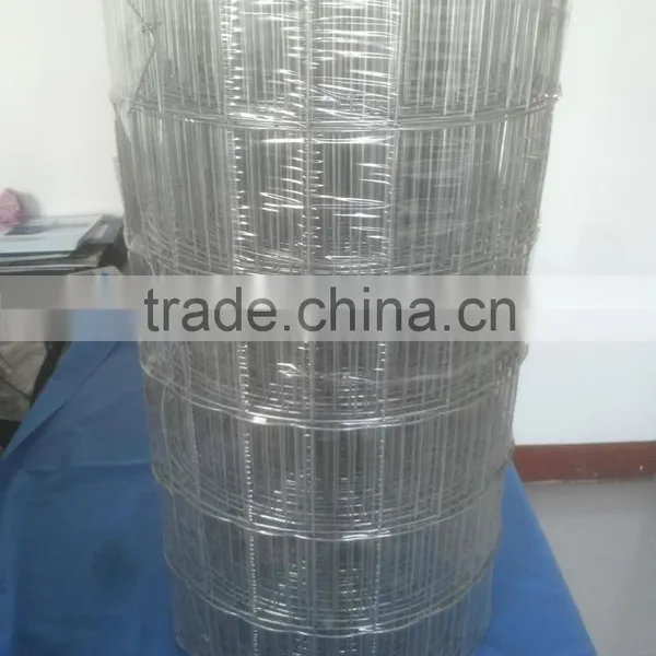 Galvanized White Zinc Welded Wire Mesh