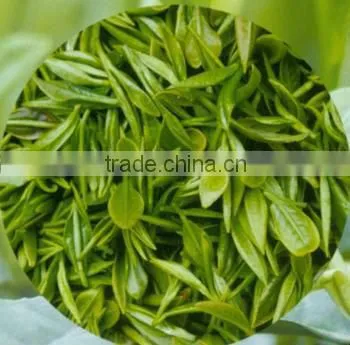 Instant Extracted Green Tea Powder
