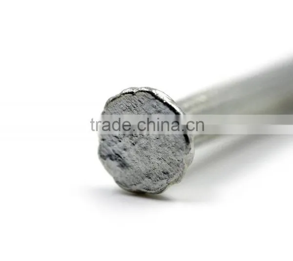 Hot Sale High Quality Steel Nails photo-2