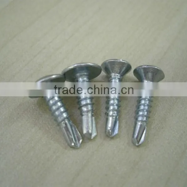 Stainless Steel Screws