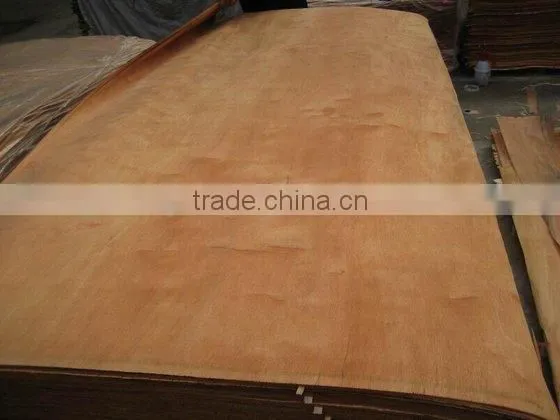 Poplar Veneer in Good Quality photo-2