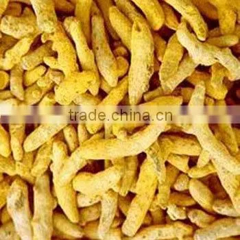 Turmeric Price for Import