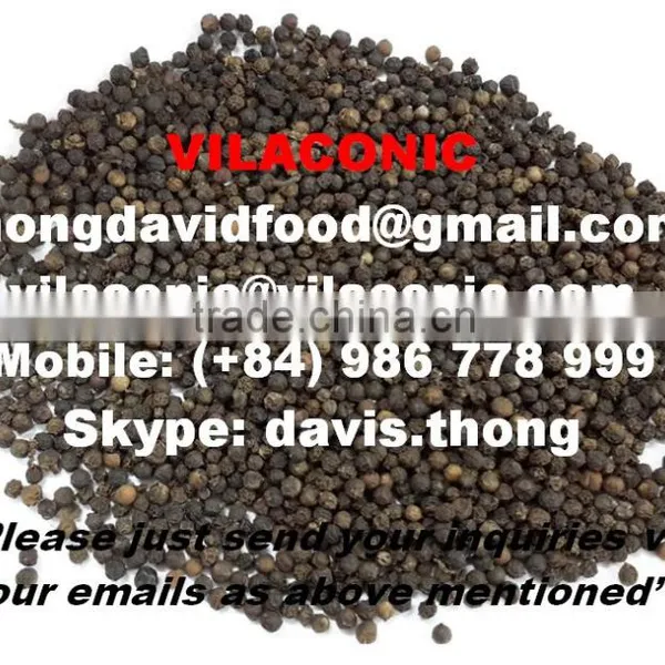 BLACK PEPPER POWDER (skype: Davis.thong, Mobile: +84 986 778 999) photo-2