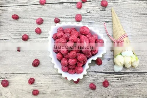 Freeze Dried Crunchy Cranberry Whole photo-4