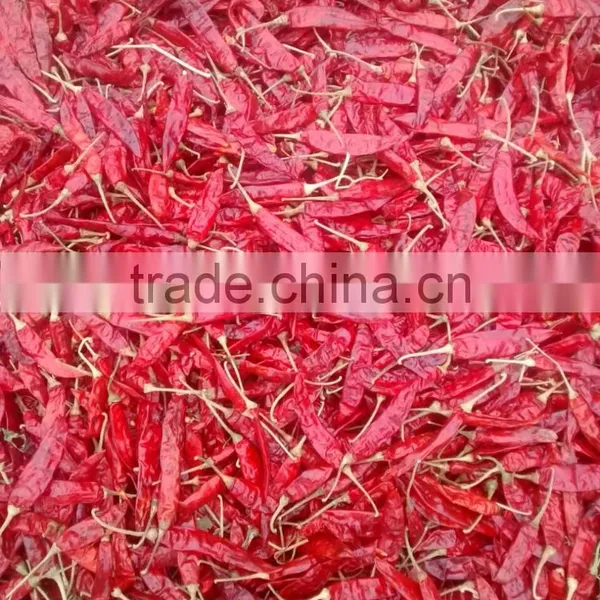 RED CHILLI PRICE photo-3