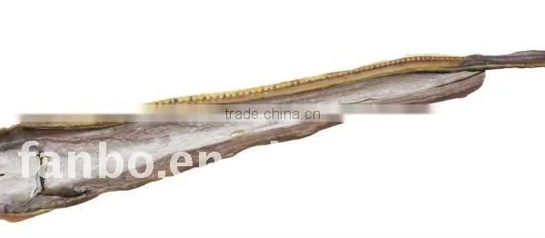 Dried Eel