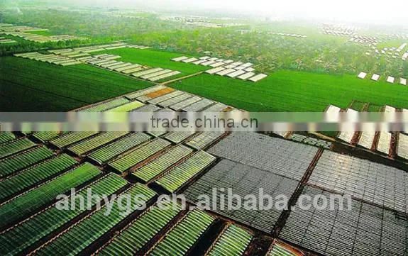 Tea Seed Pellets for Organic Fertilizer, Golf Courses, Farming, Etc. photo-3