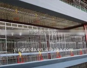 Most Popular Design Full Automatic Layer Chicken Cage for Sale photo-5