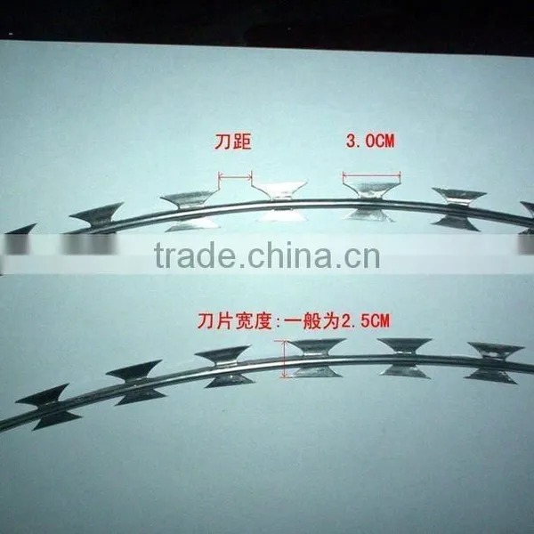 China Factory Razor Wire, Razor Wire Fencing, Razor Barbed Wire photo-4