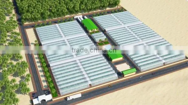 Hydroponic Cultivation photo-4
