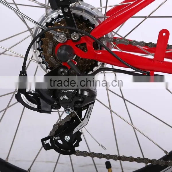 26inch 36V 250W Steel Frame Cheap Electric Bike for Sale photo-6