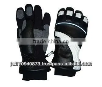 Ski Gloves