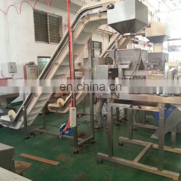 CE Approved Factory Price Food Grade Belt Conveyor System Price photo-4