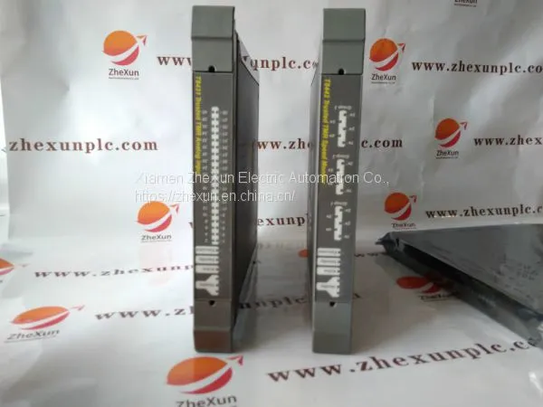 ICS TRIPLEX T8110B