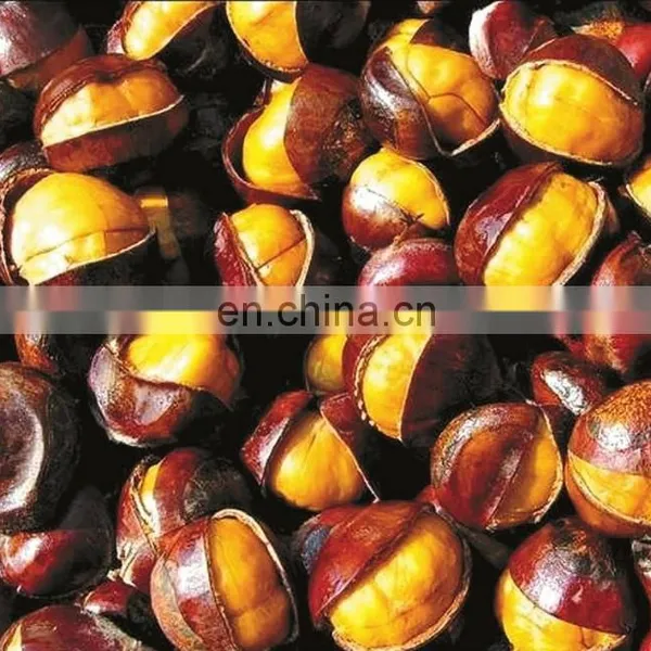 China Factory Supply Food Organic Peeled Roasted Chestnuts photo-2