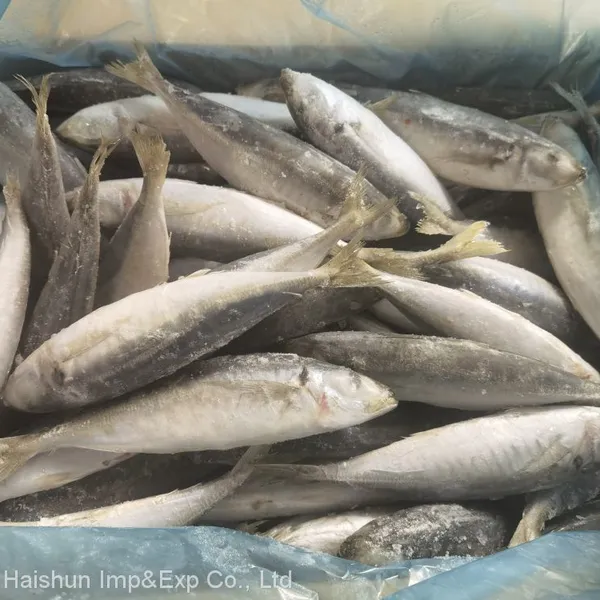 Frozen Horse Mackerel With Small Eyes; Round Scad photo-2