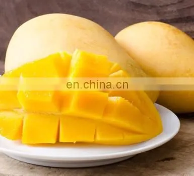 100% NATURAL FOR HEALTH FRESH MANGO WITH GOOD QUALITY MADE IN VIET NAM photo-4