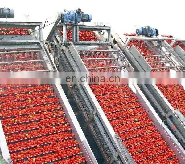 Genyond Ground Peeled Tomatoes Marinara Sauce in Food Processing Field photo-2