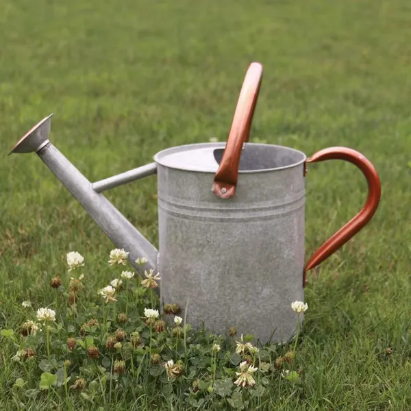 Watering Can photo-5