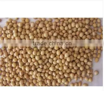 High Quality Delicious Healthy Yellow Soybeans Grade 2