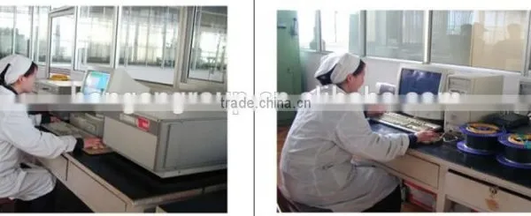 GYTS-outdoor Layer Stranded Fiber Optic Cable Price photo-5
